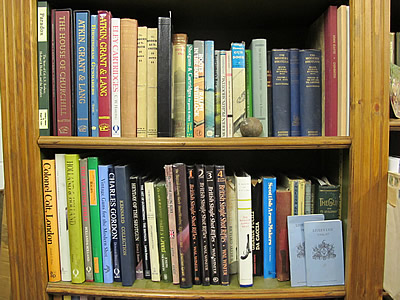 bookshelves1